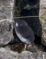 IMG_0881.jpeg