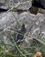 IMG_0882.jpeg