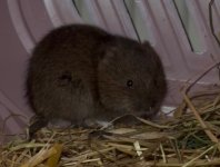 IMG_1109.jpeg