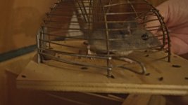 Still 2025-12-03 105940_1.3.2.jpg