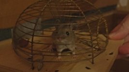 Still 2025-12-03 105940_1.3.4.jpg