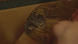 Still 2025-12-03 105940_1.3.5.jpg