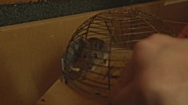 Still 2025-12-03 105940_1.3.6.jpg