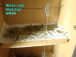 DSC00472.JPG