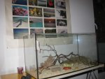 IMG_5349.jpg