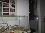 IMG_5351.jpg