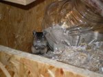 PICT0153.JPG