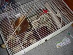 DSCN2108.jpg