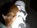 DSCN2132.jpg