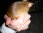 DSCN2133.jpg