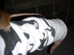 DSCN2134.jpg