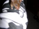 DSCN2137.jpg