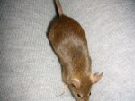 DSCN2150.jpg