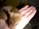 DSCN2151.jpg