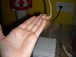 DSCN2153.jpg
