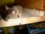 DSCN2157.jpg