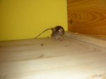 DSCN2161.jpg