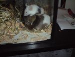 DSC016281.jpg