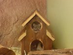 DSC018951.jpg