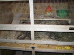 100_2373.jpg