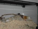 PICT2012.jpg