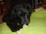 Jacky-02.jpg