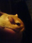 DSC06667.jpg