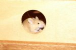 K640_2009-01-01_162908.jpg