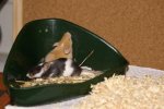 K640_2009-01-01_164430.jpg