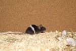 K640_2009-01-01_164724.jpg