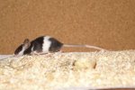 K640_2009-01-01_165015.jpg
