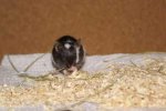 K640_2009-01-01_165114.jpg