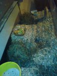 DSC06692.jpg