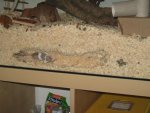 IMG_0053.jpg