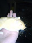DSC00288.jpg