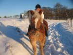 Winter 2008-2009 064.jpg