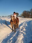 Winter 2008-2009 065.jpg