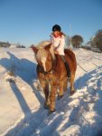 Winter 2008-2009 066.jpg