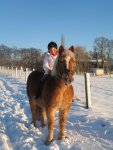 Winter 2008-2009 070.jpg