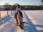 Winter 2008-2009 075.jpg