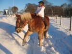 Winter 2008-2009 060.jpg