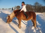 Winter 2008-2009 061.jpg