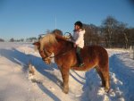 Winter 2008-2009 063.jpg