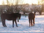 Winter 2008-2009 084.jpg
