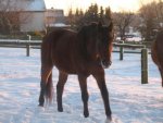 Winter 2008-2009 085.jpg