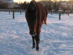 Winter 2008-2009 086.jpg
