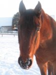 Winter 2008-2009 090.jpg