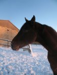 Winter 2008-2009 099.jpg