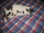 Winter 2008-2009 018.jpg
