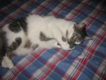Winter 2008-2009 019.jpg